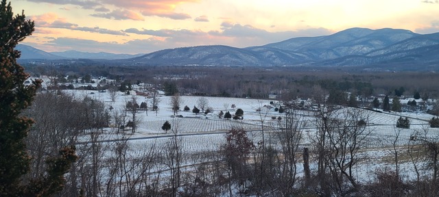 Snowy vineyard image with Blue Ridge Mountains in background.