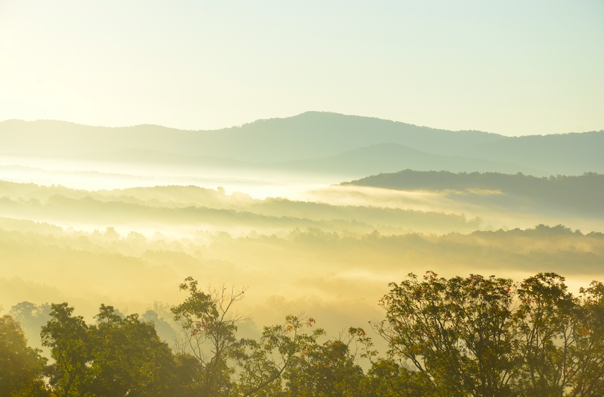 photo of foggy mountains in yellows, greens, and blues, with trees in the forefront.