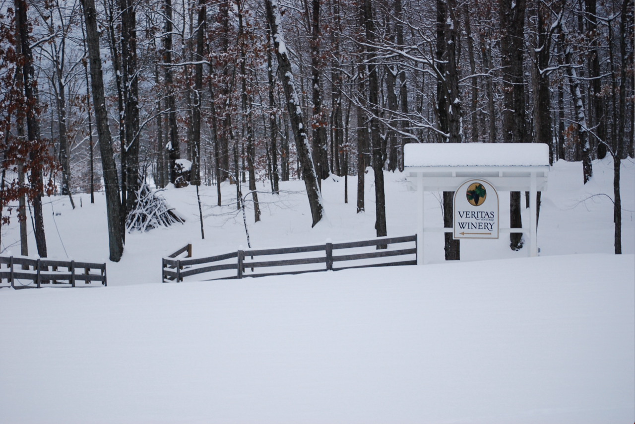 A Look Back at Winter 2025 at Veritas