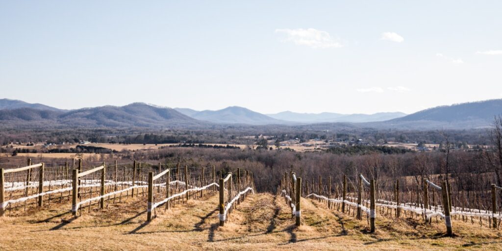 View of the top meadow at Veritas Vineyard and Winery during winter time. 