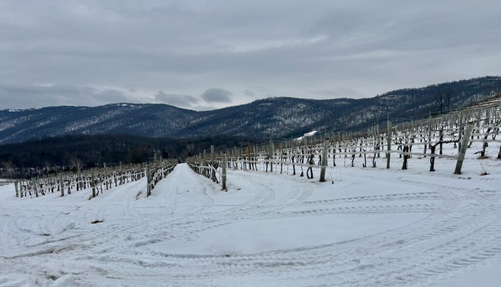 A photo of the Veritas vineyard with snow on the ground and in the mountains in the background.