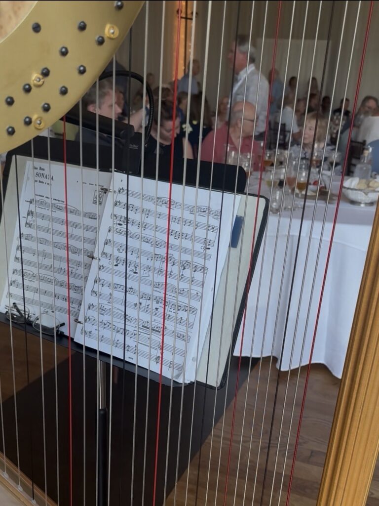 A harp is in the foreground of the photo, and behind the strings is a set of sheet music, then a group of people looking on and enjoying a wine tasting. 